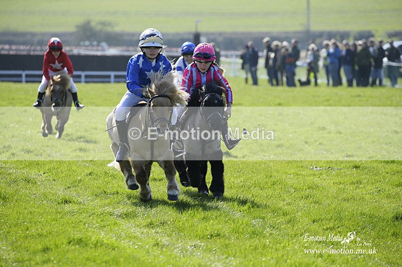 PtP 190322 8 - Wilton Hunt PtP Milborne St Andrew 19/03/22