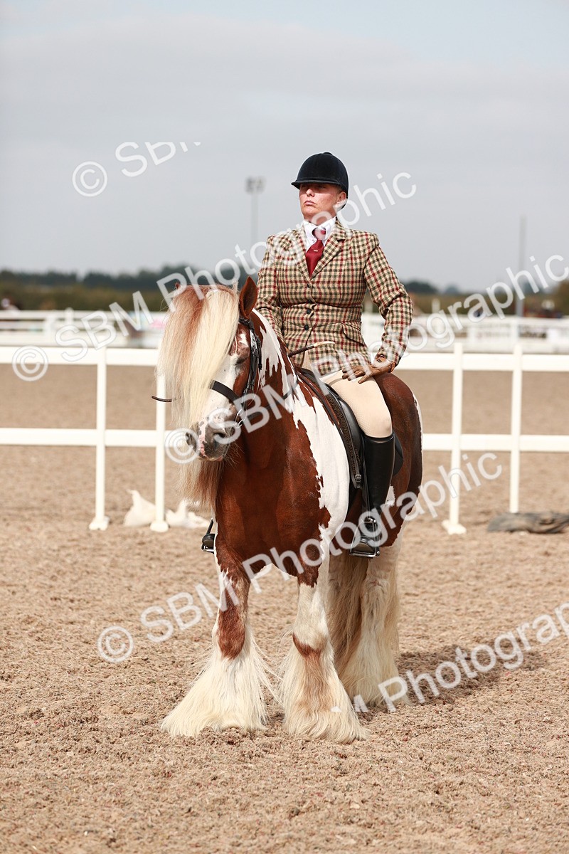 SBM_16772 - Class 214 Ridden Cob