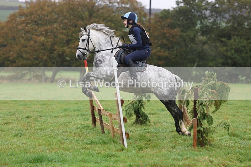 3E7A0782 - Class 1: 65cm: Rails