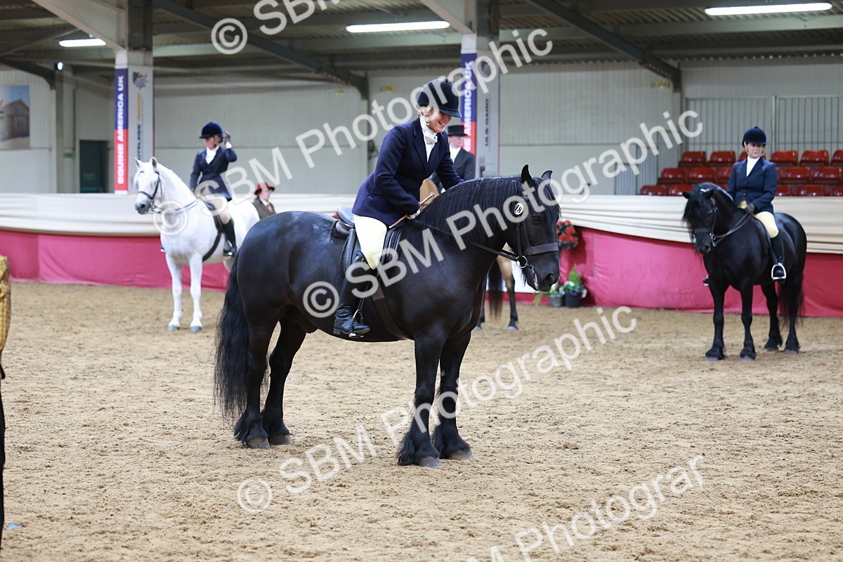 SBM_18769 - Class 952 - M&M Ridden Supreme Final