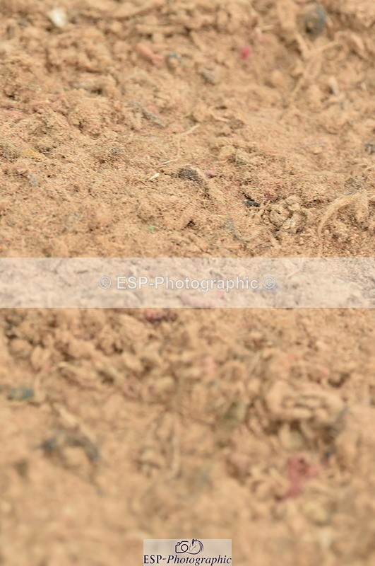 230720A-123214-02574 - Cls 13, 1 Star Bronze 1.10m