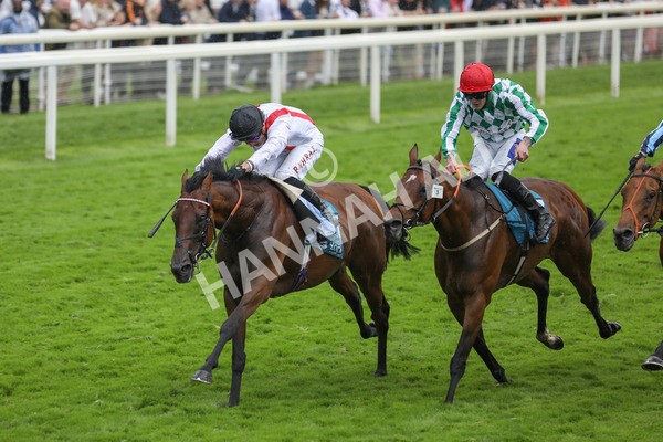 150723-Race 4-Hamish-8835 - Race 4 3.45pm John Smith's Silver Cup Stakes