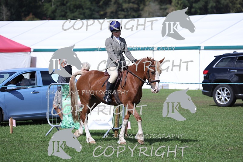 APP_3038 - Class 11 Veterans ridden