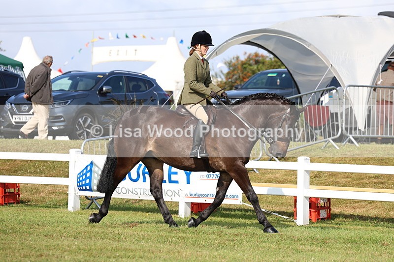 3E7A8508 - Class 3: Rising Star S/L Hunter