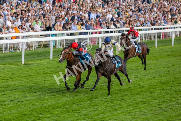 260724-Race 3-Elsies Ruan-4035 - Race 3 6.40pm Ire-Incentive, It Pays To Buy Irish EBF Restricted Novice Stakes