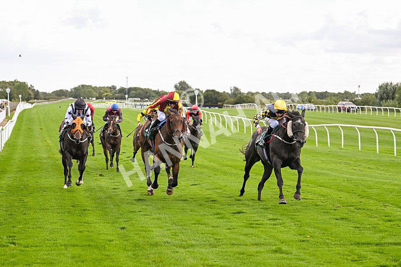 100924-Race 2-Keldeo-0019 - Race 2