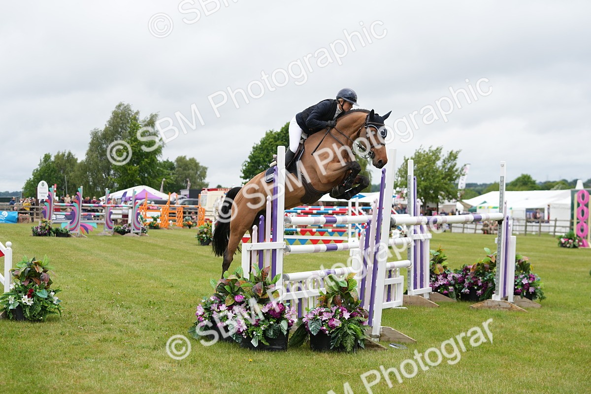 SBM_03371 - Class 201 - British Horse Feeds Speedi Beet Horse of the Year Show Grade  C