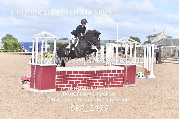 BPP_2479 - DERBY CLASS 7 - 80CM