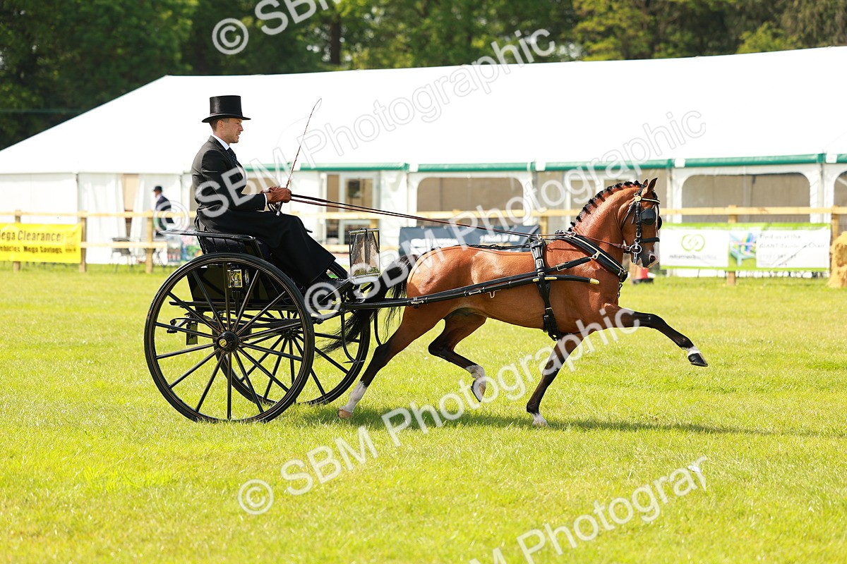 SBM_02686 - Class 2-4 - HOYS Private Driving