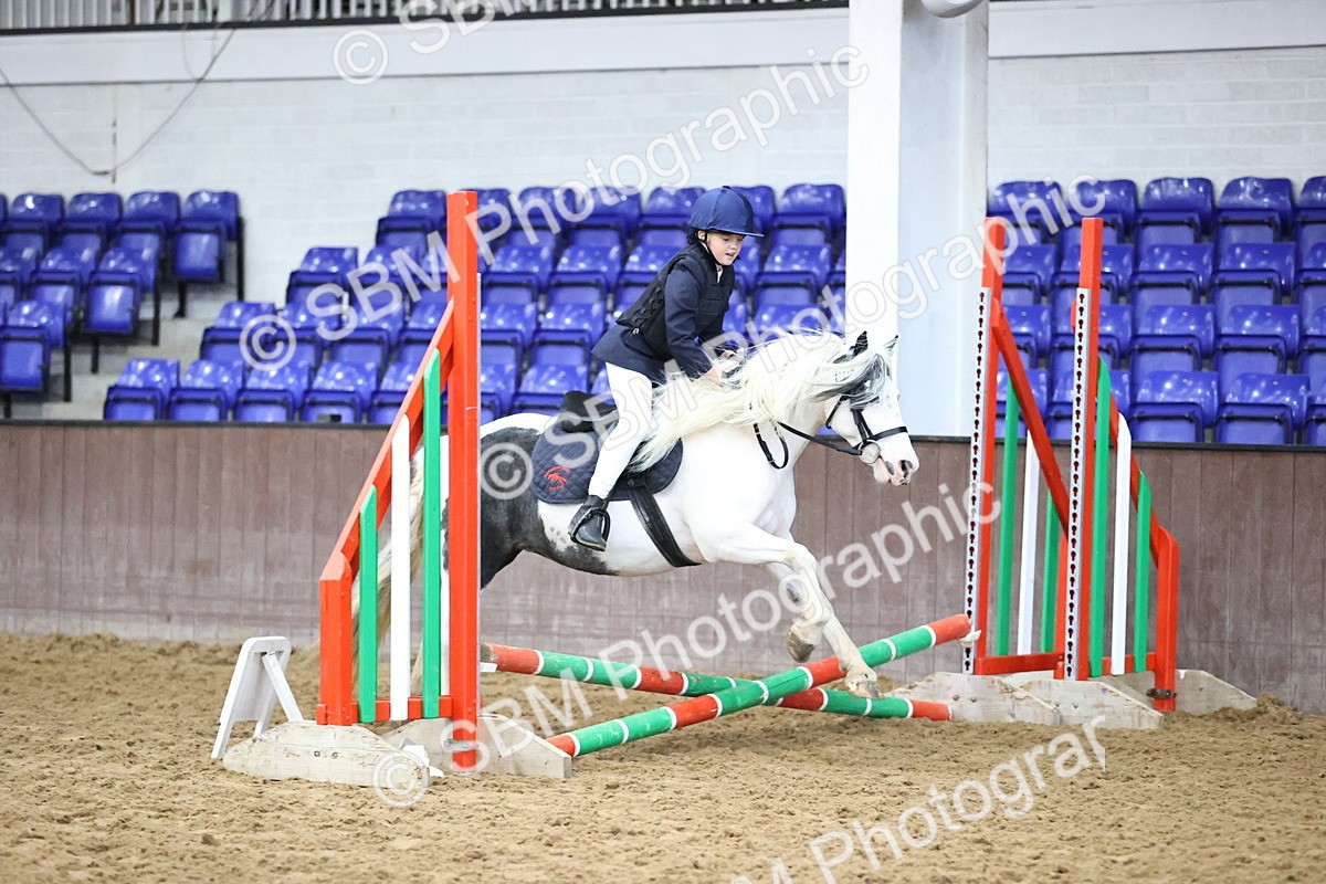 SBM_000198 - Class 2 - The Rug Lady 40cm Area 12 Championship Qualifier