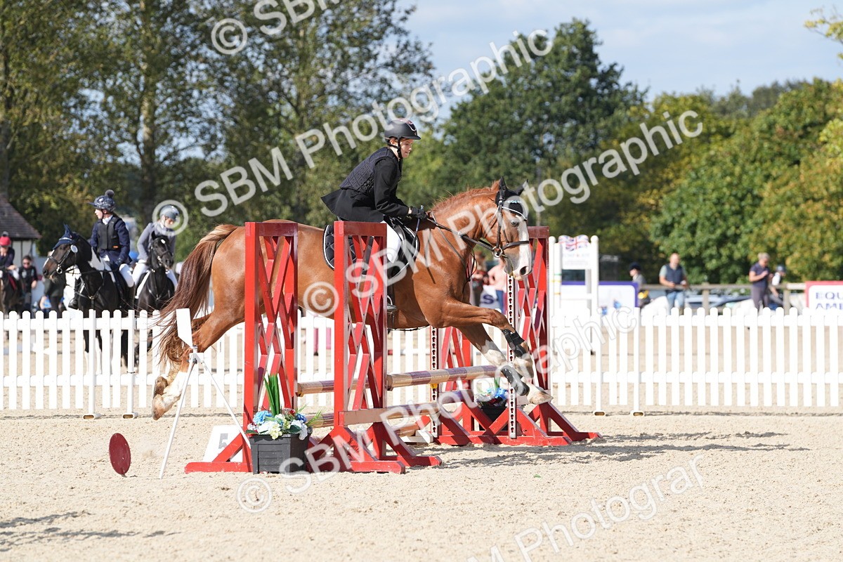 SBM_48565 - J22 - Junior Horse 65cm Championship
