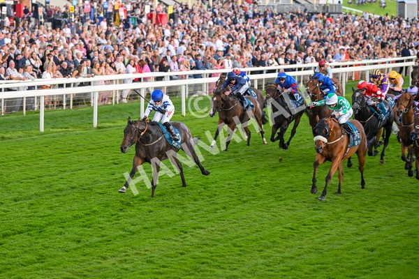 260724-Race 4-Dicko The Legend-5219 - Race 4 7.15pm Tomahawk Restaurants Handicap