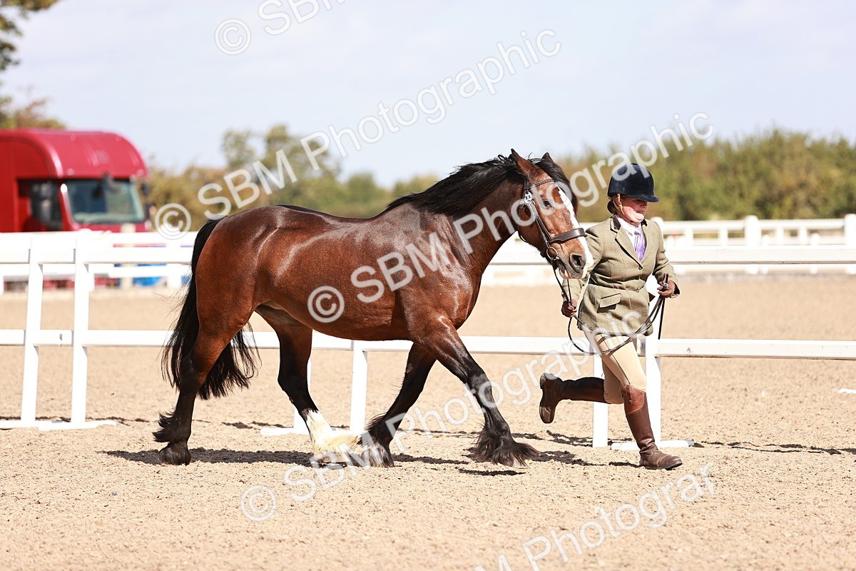 SBM_22888 - Class 706 - IH Veteran