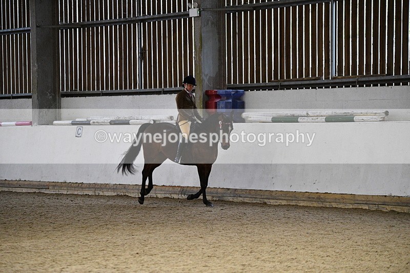 WJ5_8842 - Class 15 Ridden Show Horse