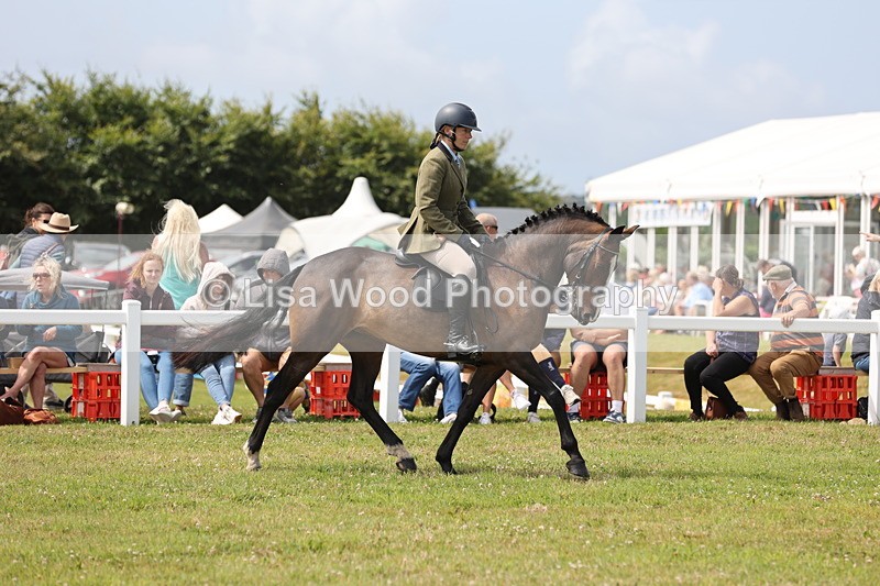 JPP_1514 - Class 17: Cornish Combination Open