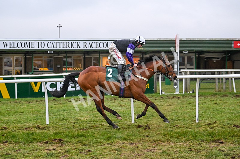 310125-Race 7-Balcomie Breeze-6036 - Race 7