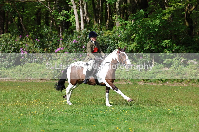 3E7A2653 - Working Hunter Championship