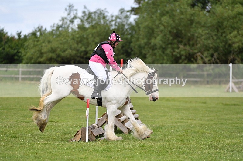 WJ5_2553 - Class 2 40cm