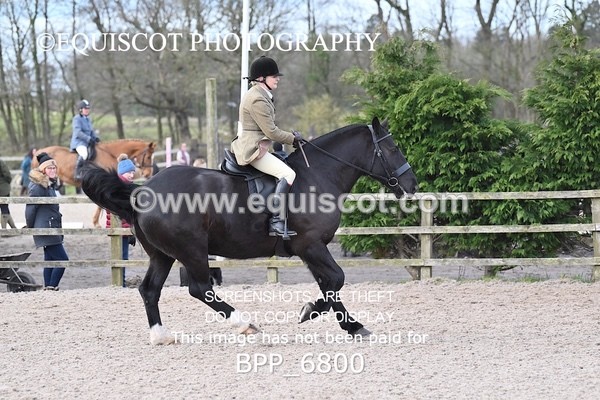 BPP_6800 - RING 1  (RIDDEN HORSES / IN HAND / VETERAN ETC)