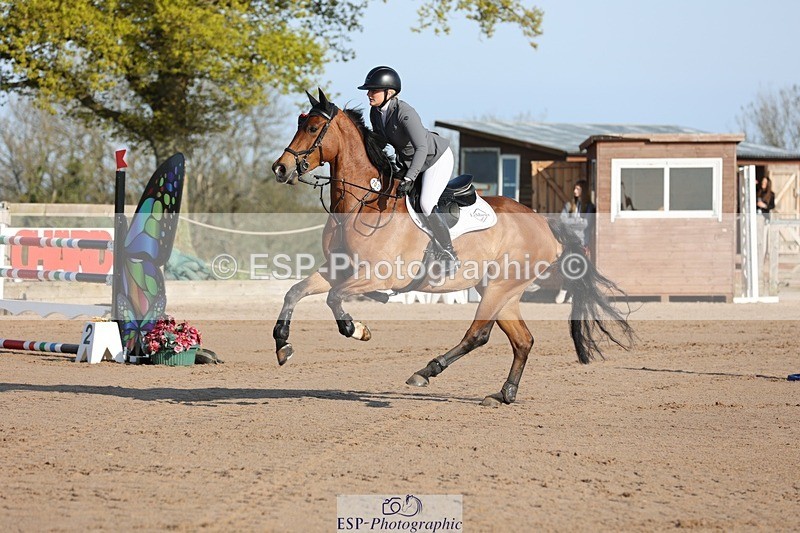 250427-083503-14541 - Cls 28 Young Horse 5yr old