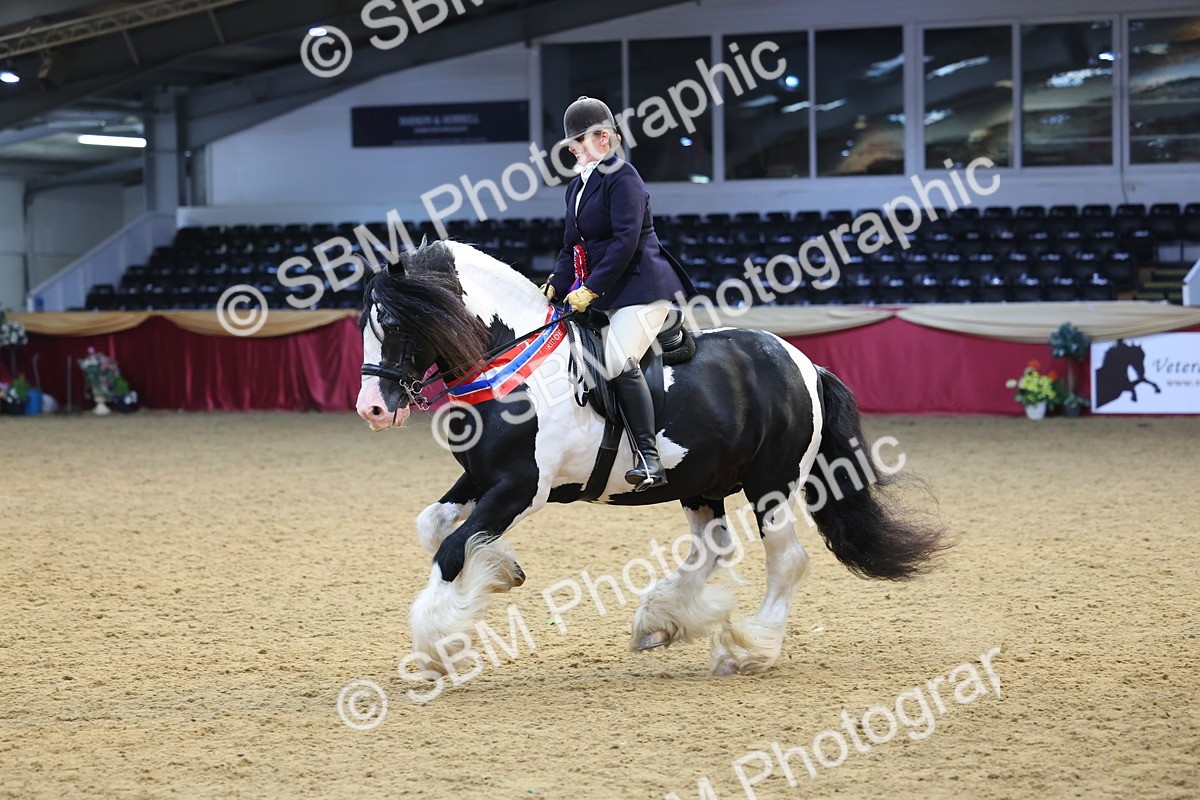 SBM_24973 - Supreme Final - Ridden Champion