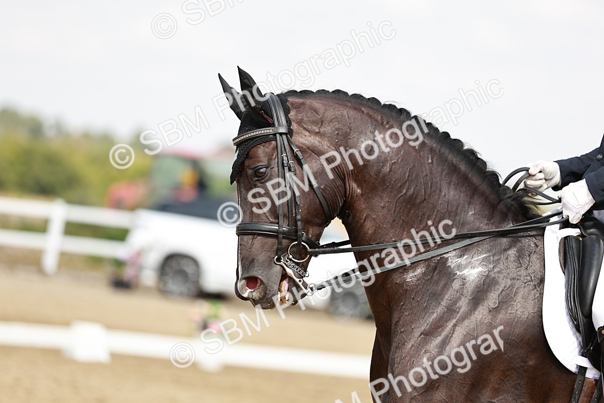 SBM_004192 - Class 7 - Advanced Medium 6 Gold - 14.52-16.00