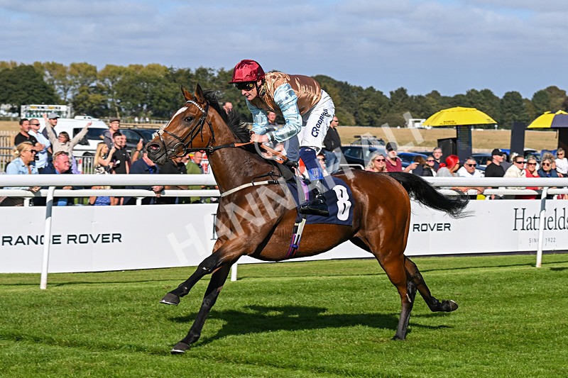 180924-Race 4-Surprised-4491 - Race 4