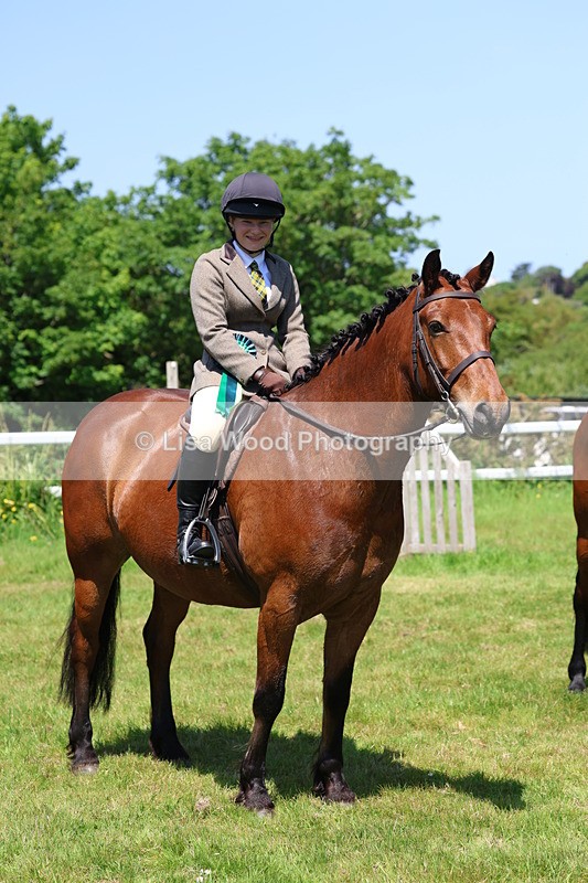 3E7A7417 - Class 30: Novice Working Hunter