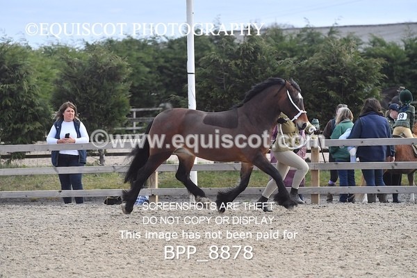 BPP_8878 - RING 2 - M&M