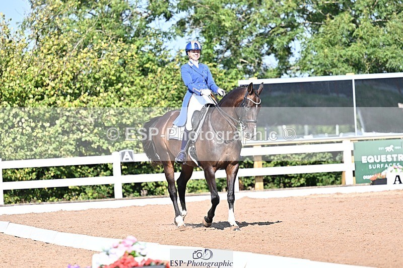 250816-094705-02342 - 012-Natasha.Collings-CostelloDovevale.Tender.Dove