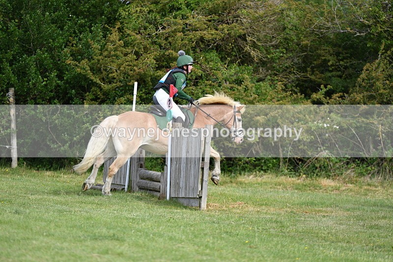 WJ5_2328 - Class 2 40cm