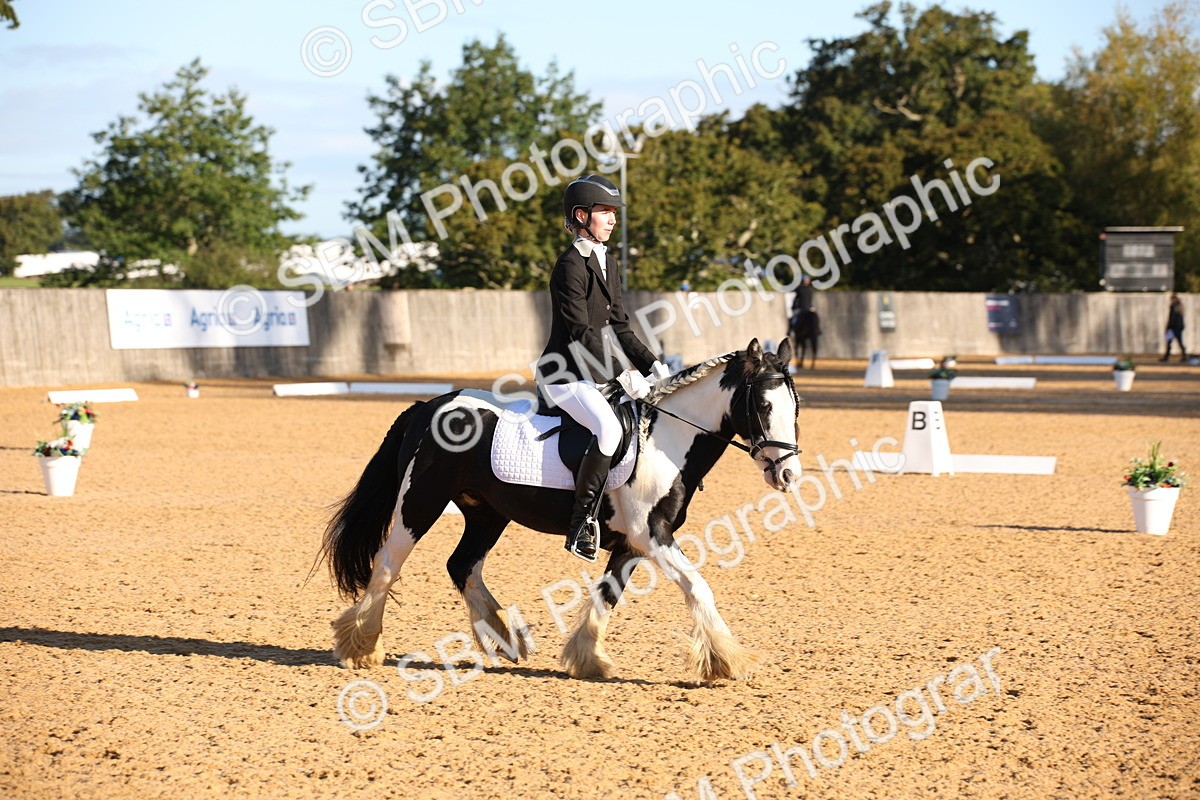 SBM_01755 - D2 Small Tour Championship Intro C