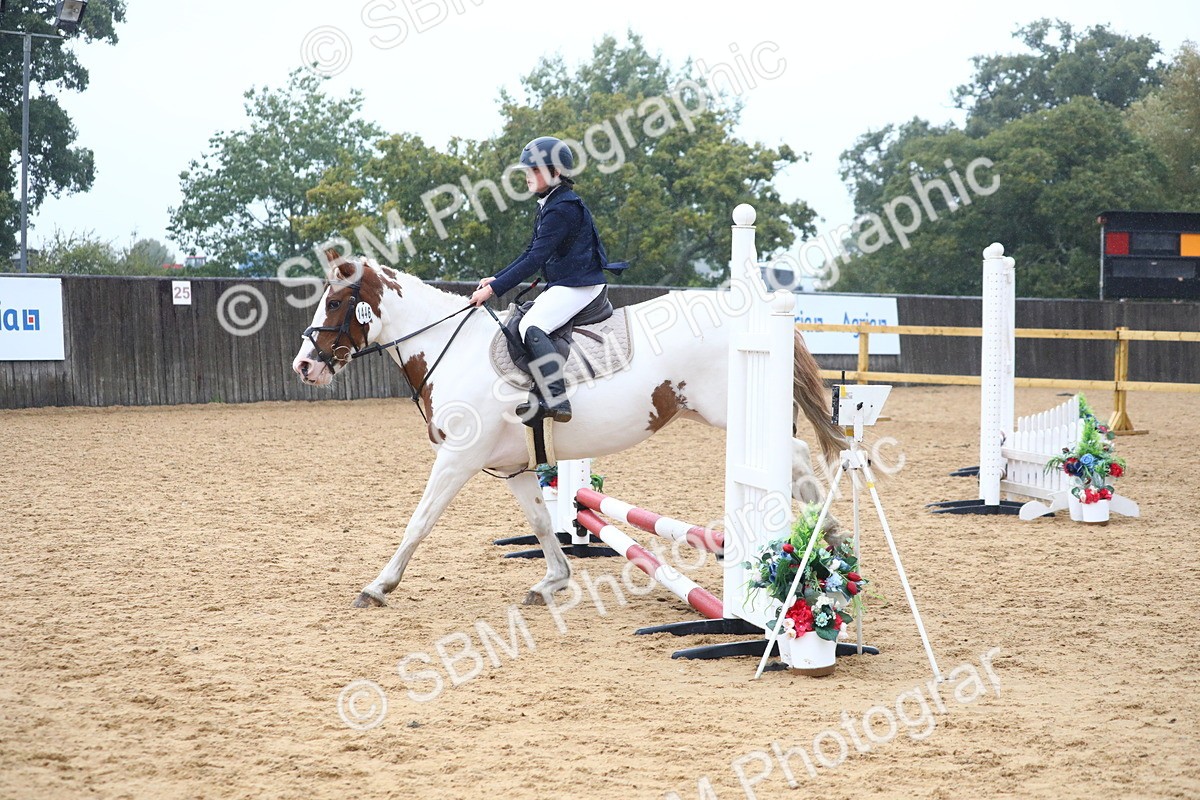 SBM_71712 - J4 - Mini Tour Junior Pony 45cm Championship