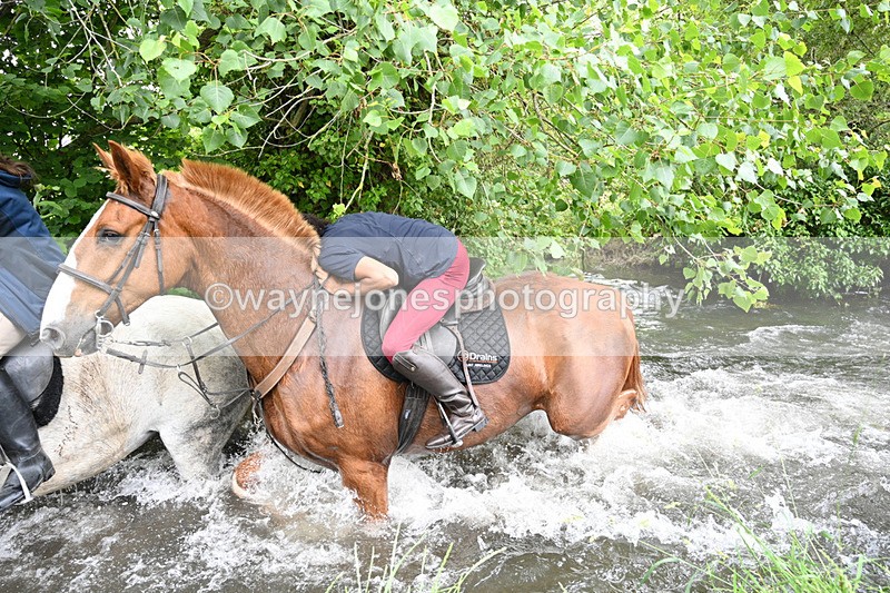 WJ7_2466 - Camera 2 Water Crossing