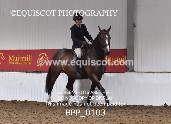 BPP_0103 - RING 2