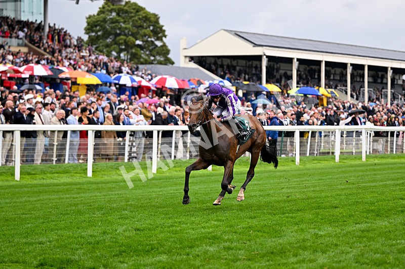 200826-Race 2-Sun Goddess-3174 - Race 2 14.25pm Harry's Half Million By Goffs