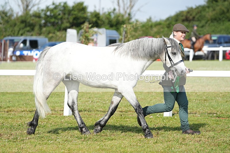 DSC05142 - Class 48: NPS M&M 2/3 year olds