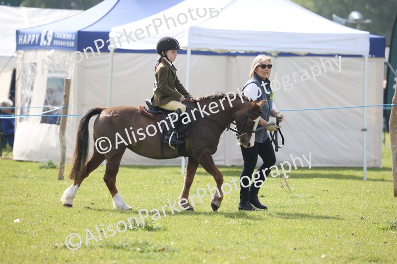 20260426-2522 - Class 31 - Leading Rein