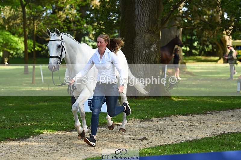230524-171656-01399 - 172-VELOUMANI_TESS_LY-Aliene_Ruyter-WEDTrotUp+DR