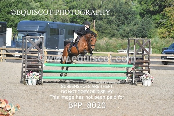 BPP_8020 - CLASS 31 SUN Club/ Unaffiliated 80cms Open