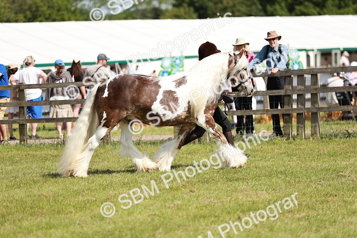 SBM_08780