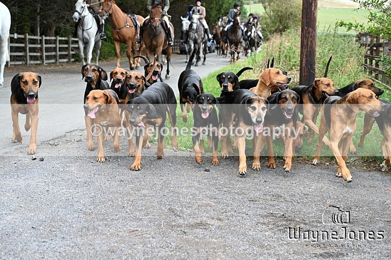 WJ7_1244 - Berks & Bucks Hound Exercise Blewbury 13-09-26