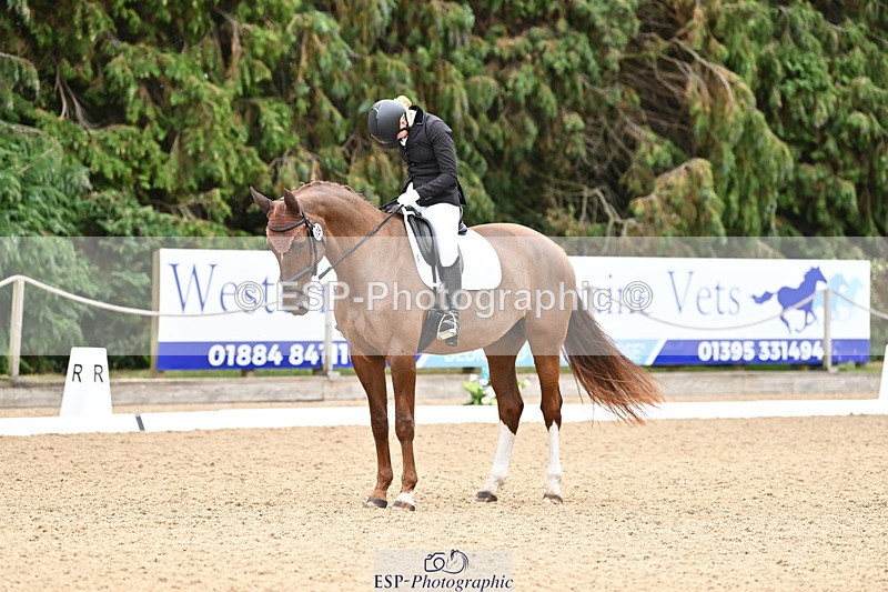 250808A-103335-00350 - 024-Daisy.Hedges-Felicia.V