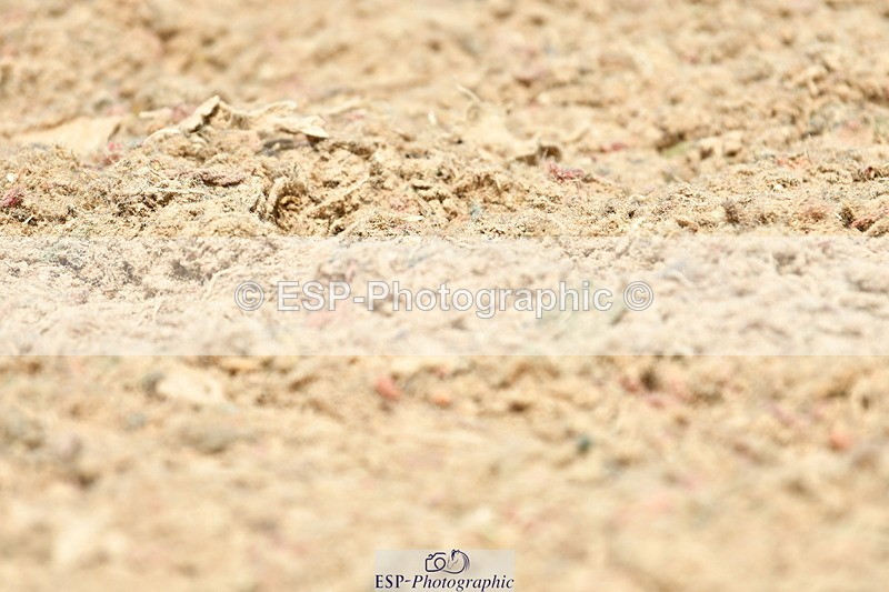 230702A-124930-09724 - Cls 28 Elementary 45