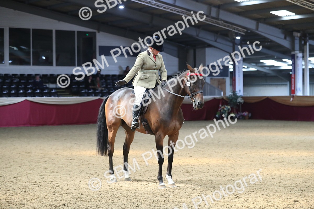 SBM_12388 - Class 108 Ridden Retired Racehorse- Pre Judging