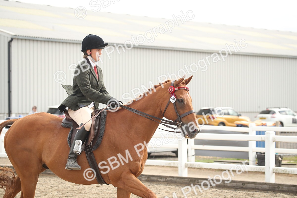 SBM_17844 - Class 508b - Working Veteran 70cm (20+)