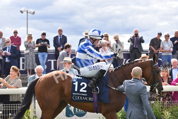 yr19082022r4-46 - Race 4 3.35pm Coolmore Wootton Bassett Nunthorpe Stakes (British Champion Series Race)