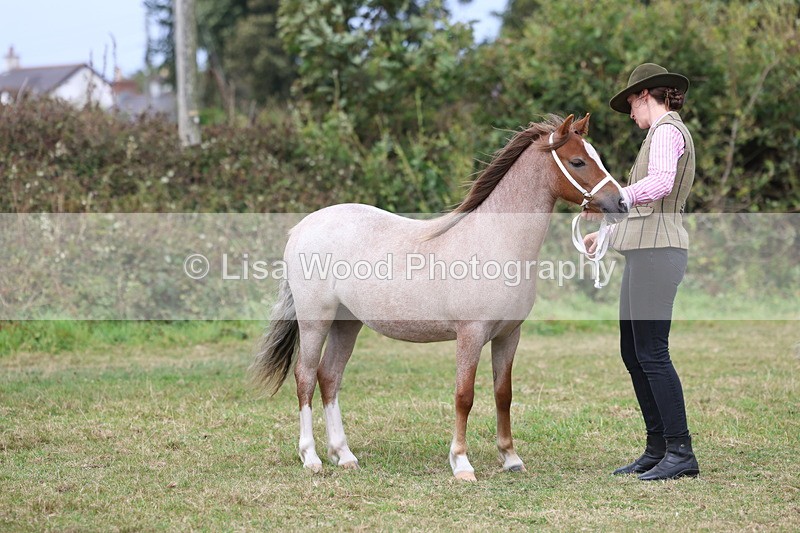 3E7A5408 - Class 19: Best Coloured in Hand