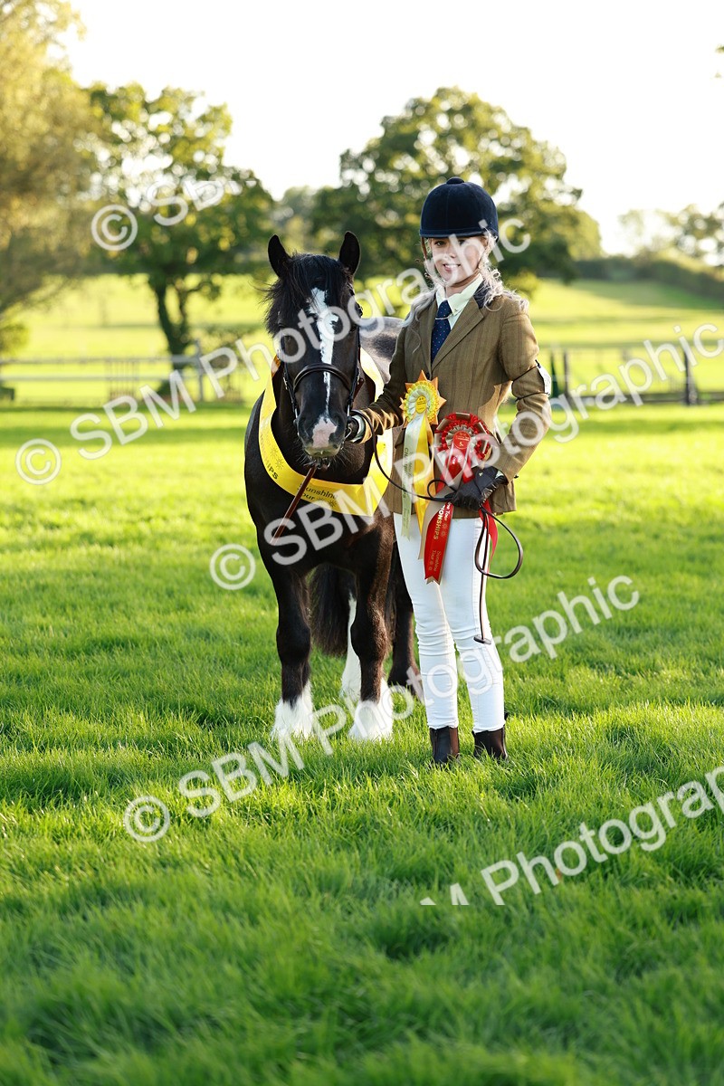 SBM_29338 - Novice & newcomer Supreme Championship