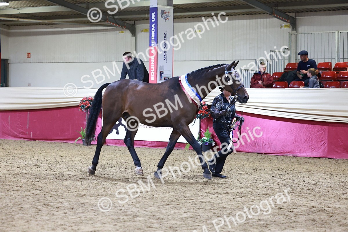 SBM_20649 - Class I - Ridden Pony Champ